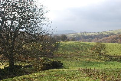 Looking towards Bosley Cloud from the Gritsone Trail