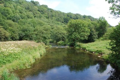 River Wye near Chee Dale